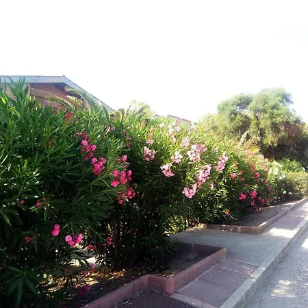 Casa Mimosa Nyaraló